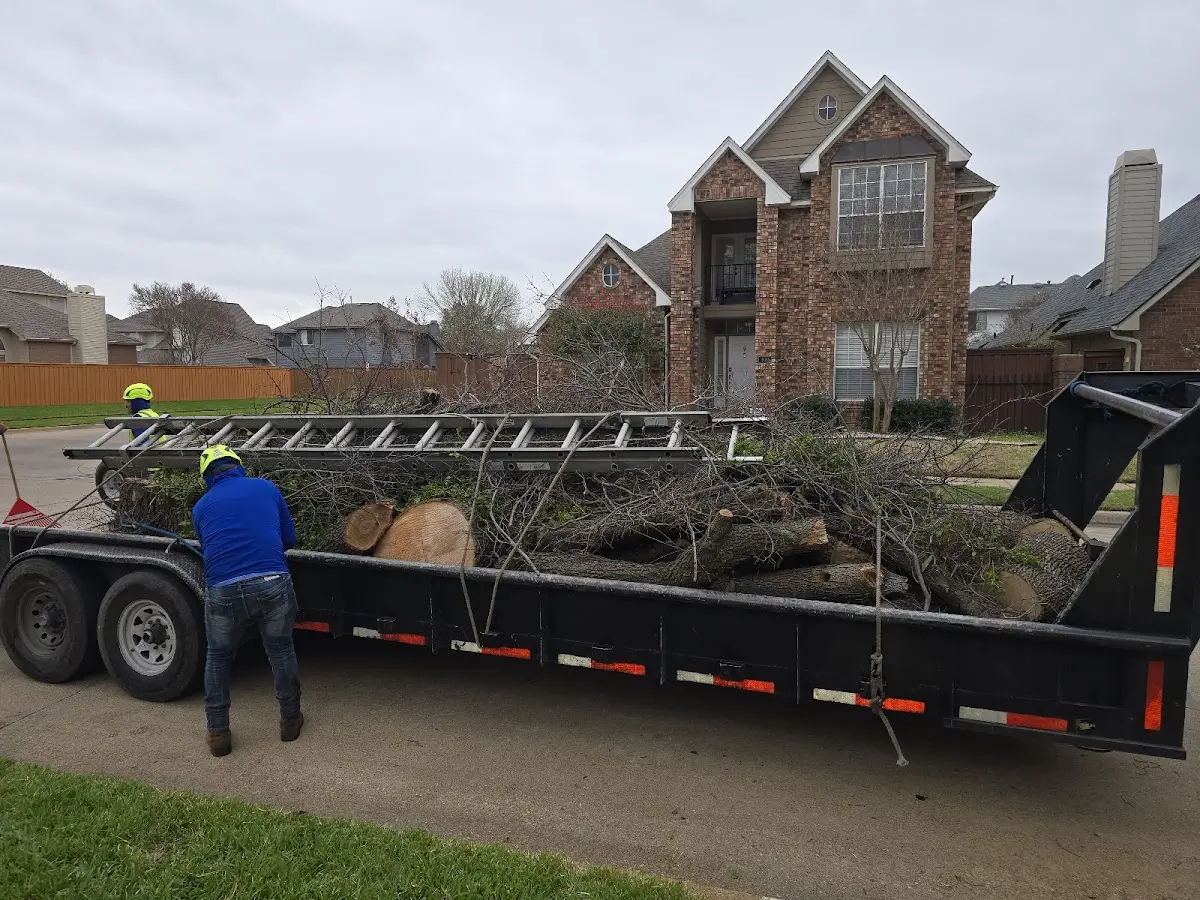 Expert Tree Pest Control with proper safety equipment in Broadwater